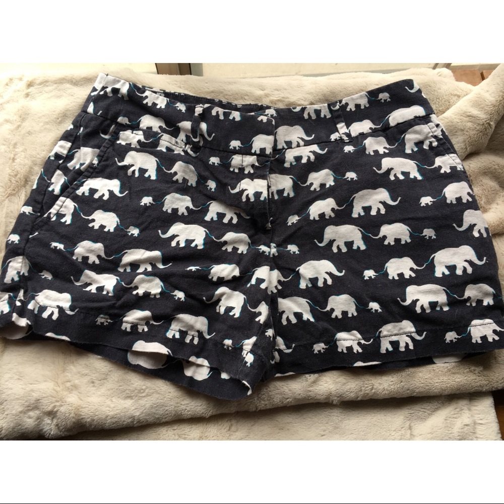 Elephant Shorts